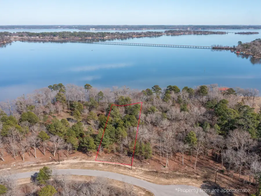 3108 Shadow Pine Dr, Larue, TX 75770 - Image #3