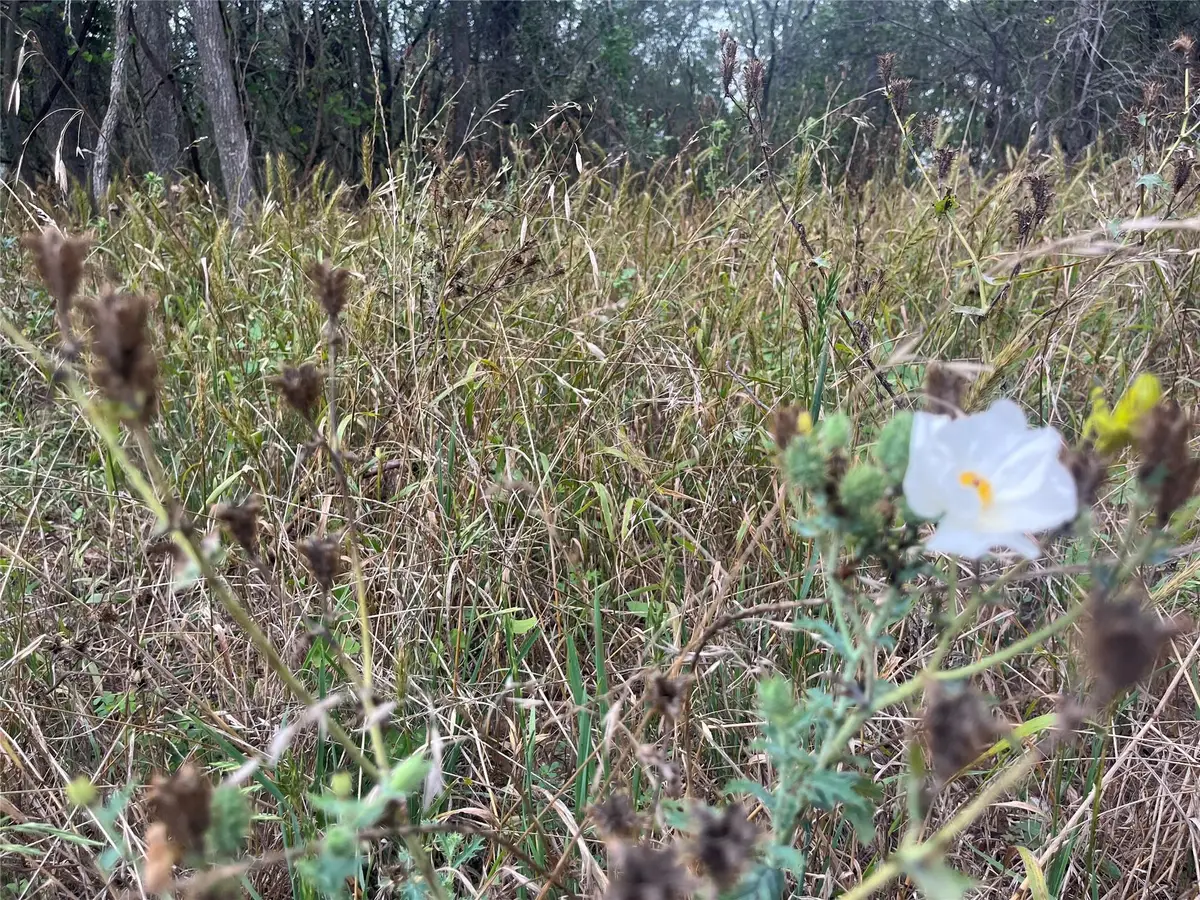 000 Kaaawa Ln #5, Bastrop, TX 78602 - Image #1