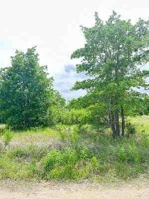 138 Wild Bird Loop, Smithville, TX 78957 - Image #3