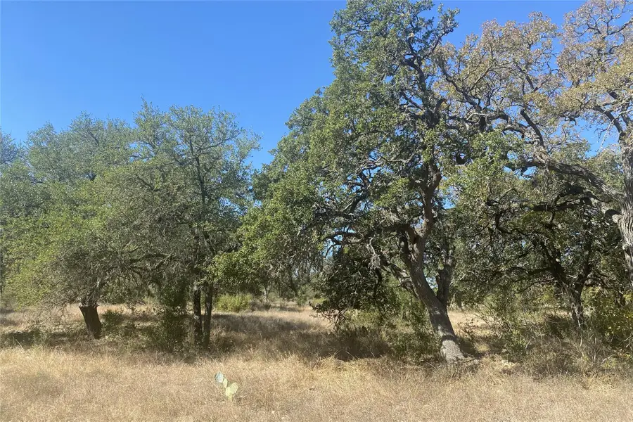 00 Spoke Hollow Rd, Wimberley, TX 78676 - #3
