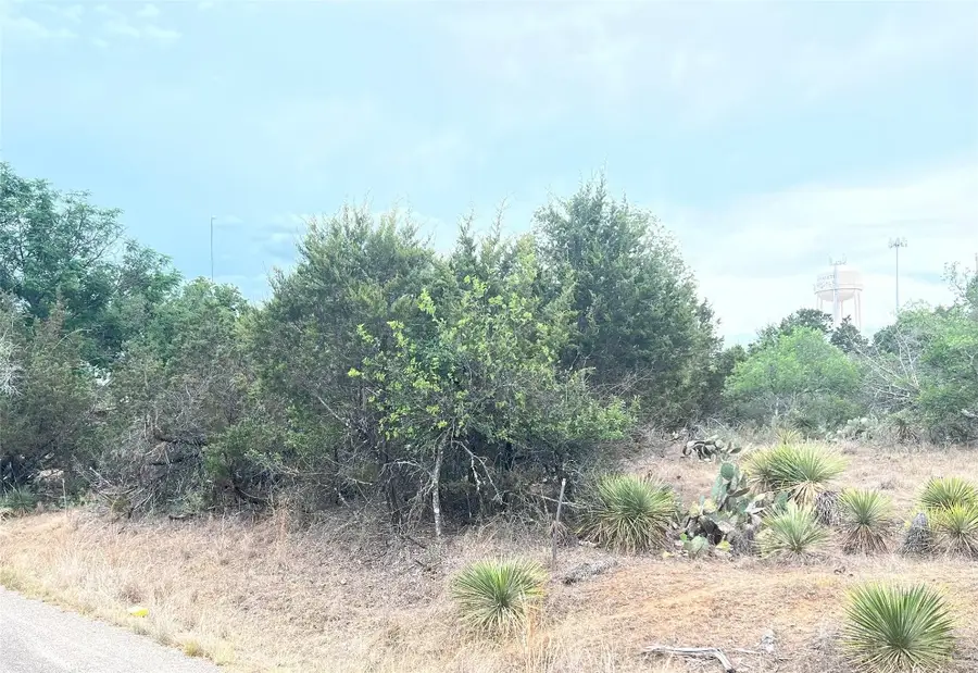Lot 283 & 284 Briarway Dr, Granite Shoals, TX 78654 - Image #3