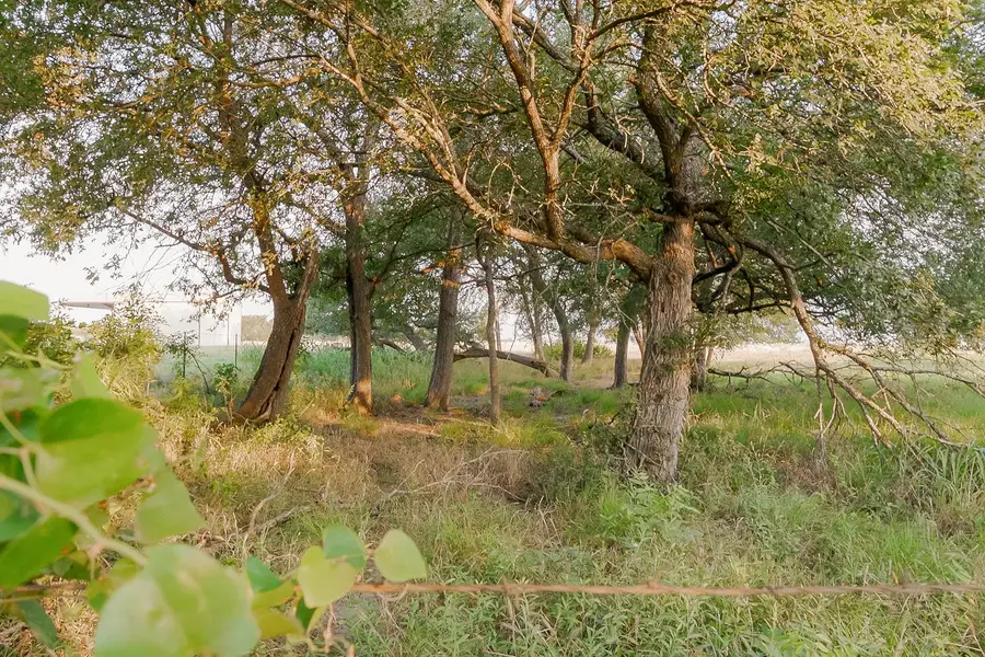 000 County Road 429, Rockdale, TX 76567 - #2