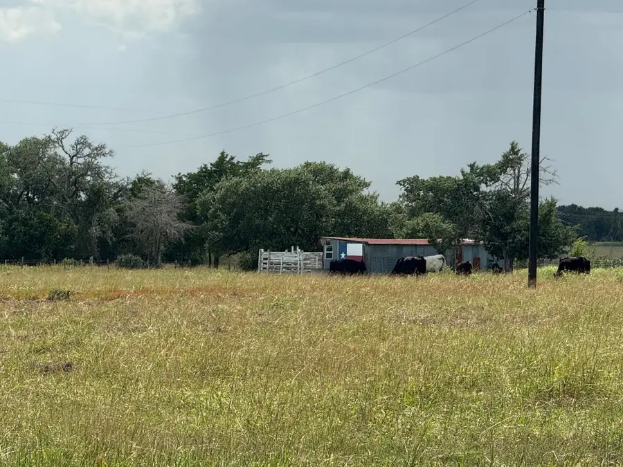 4317 Fm 955 Rd, Fayetteville, TX 78940 - Image #2