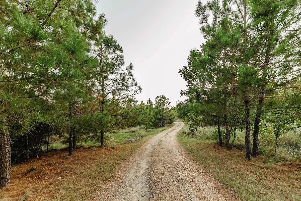139 Village Forest Dr, Smithville, TX 78957 - Image #1