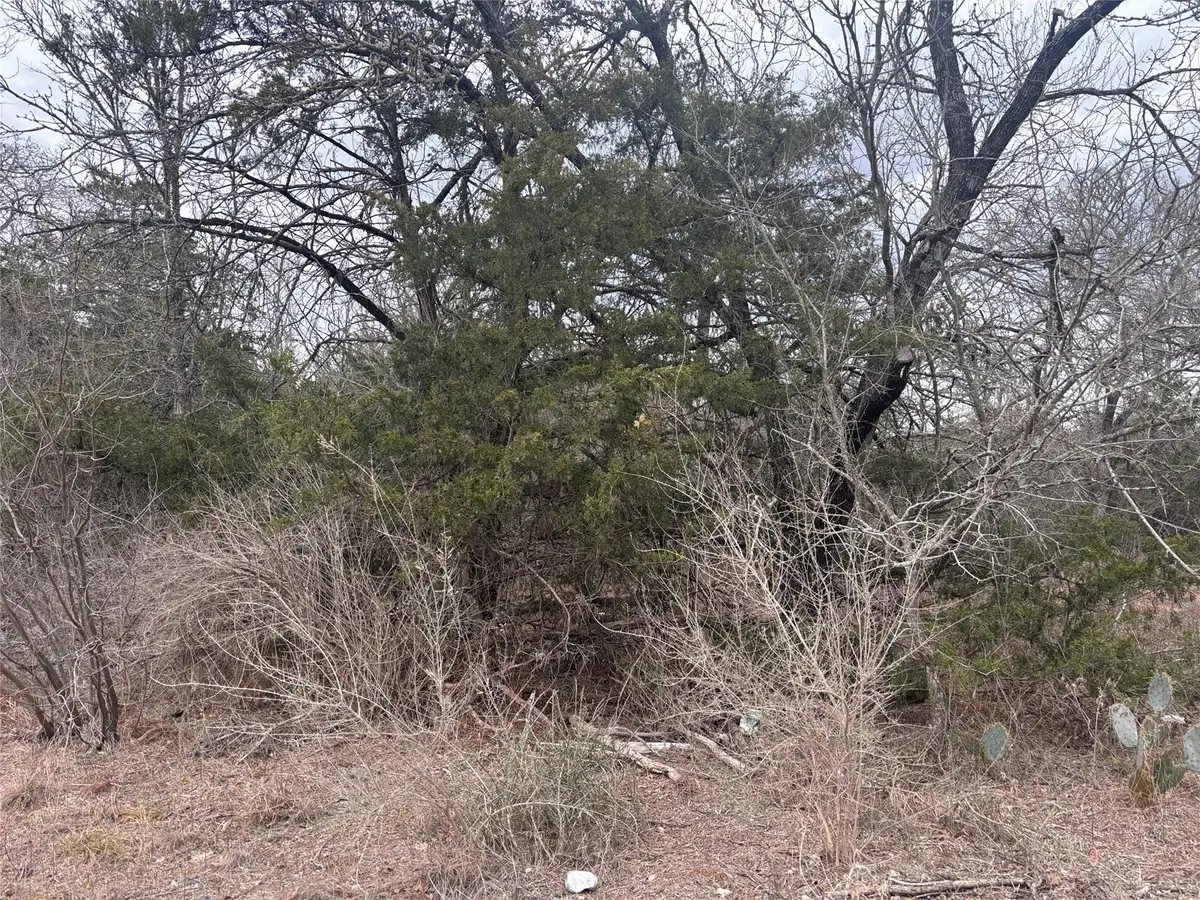 TBD Pearson Rd, Cedar Creek Red Rock, TX 78616 - #1