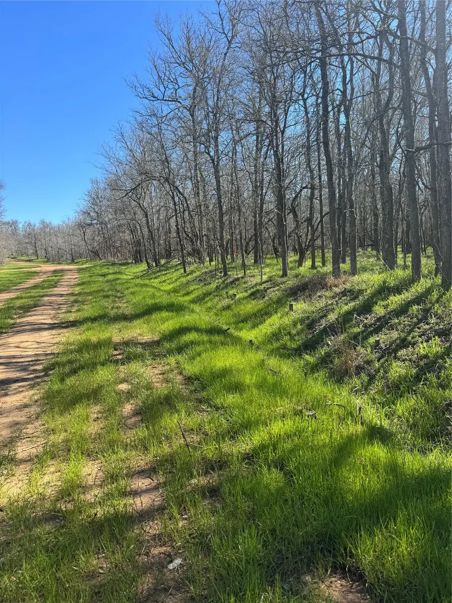 289 Iva Ln, Bastrop, TX 78602 - Image #2