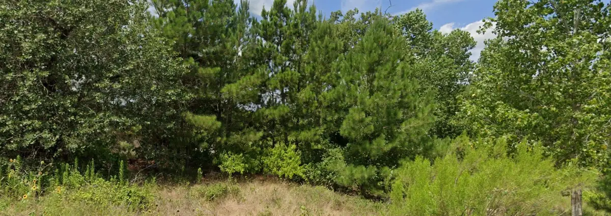 001 Kipahulu Ln, Bastrop, TX 78602 - Image #1