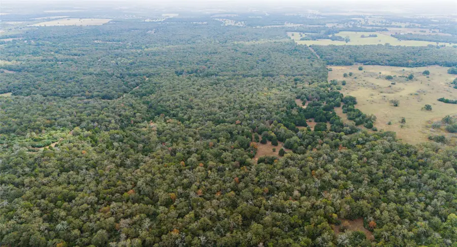 TBD County Rd #415, Lexington, TX 78947 - Image #3