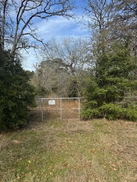 Lot 95 Travis Rd, Paige, TX 78659