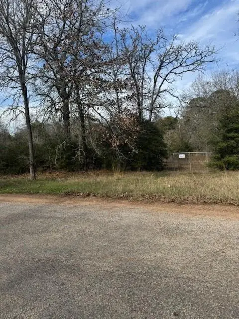 Lot 95 Travis Rd, Paige, TX 78659 - Image #2