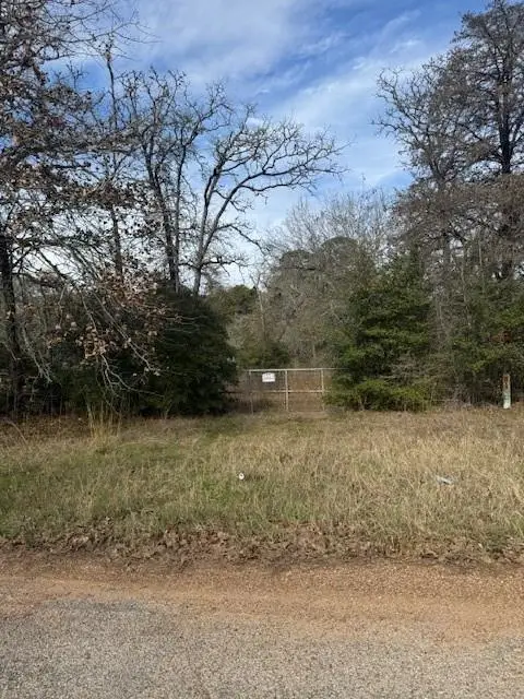 Lot 95 Travis Rd, Paige, TX 78659 - Image #3