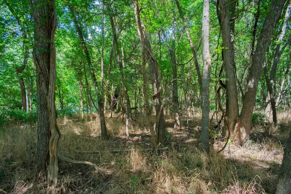 128 Kaukonahua Ln, Bastrop, TX 78602