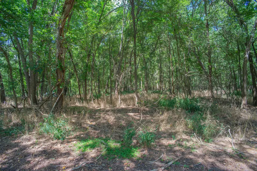 128 Kaukonahua Ln, Bastrop, TX 78602 - Image #2