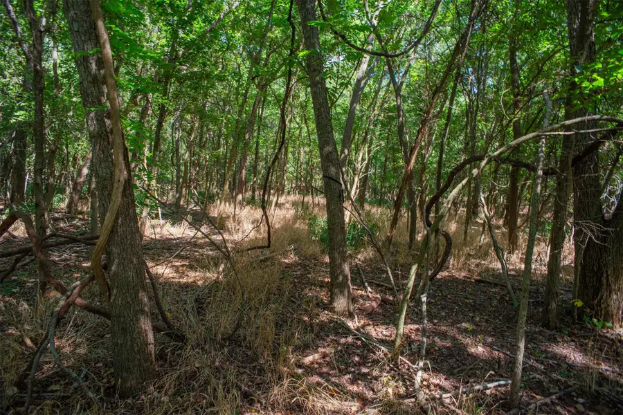 128 Kaukonahua Ln, Bastrop, TX 78602 - Image #3