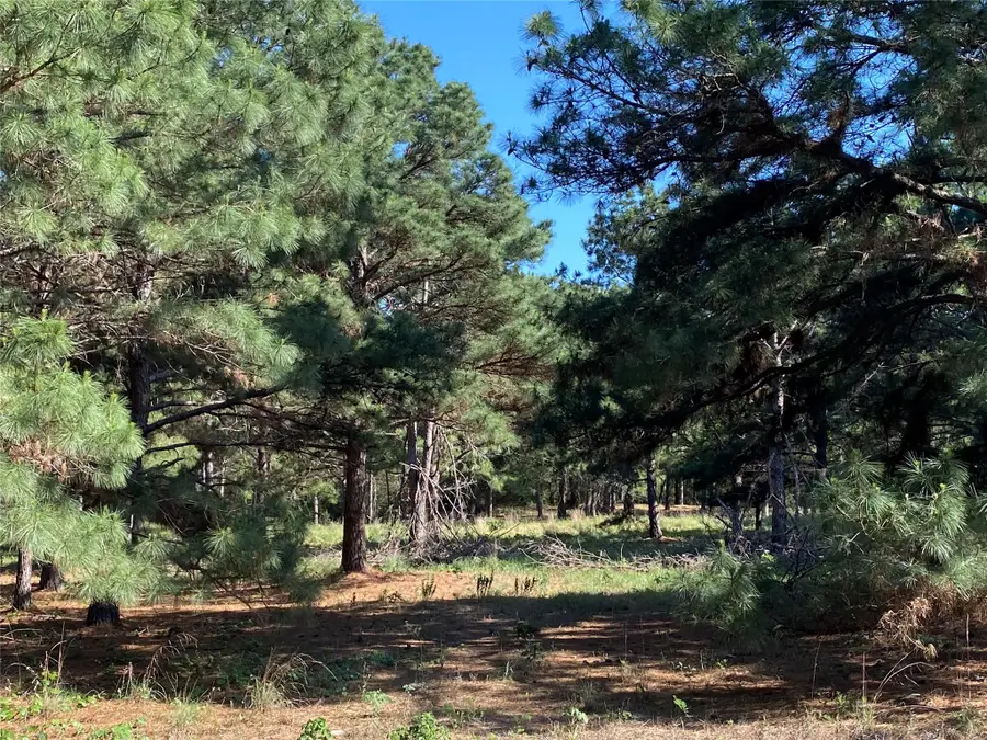 147 Oak Leaf Dr, Bastrop, TX 78602 - Image #2