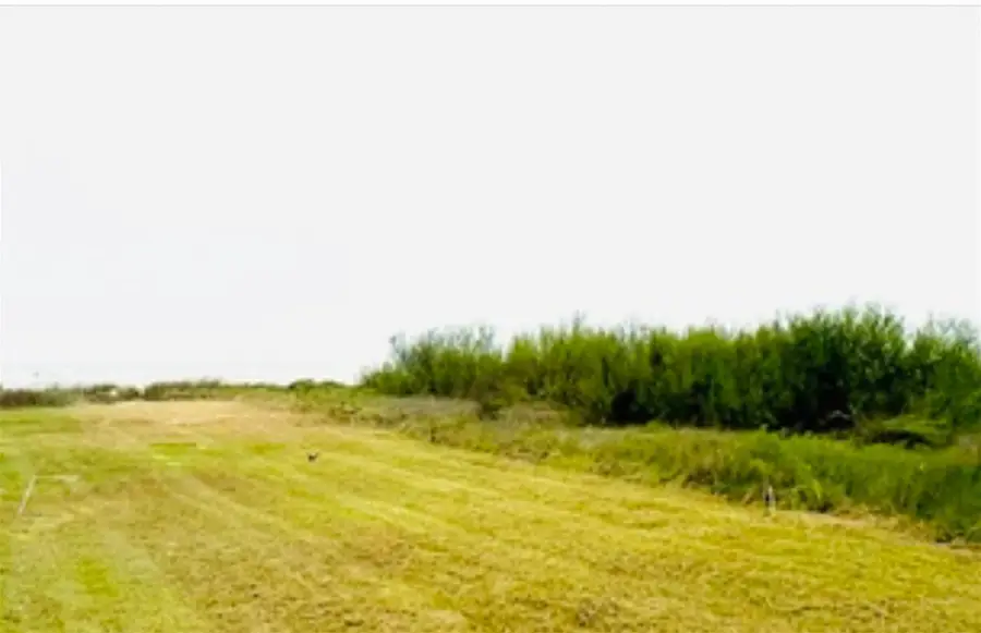 995 Alicia Dr, Crystal Beach, TX 77617 - Image #3