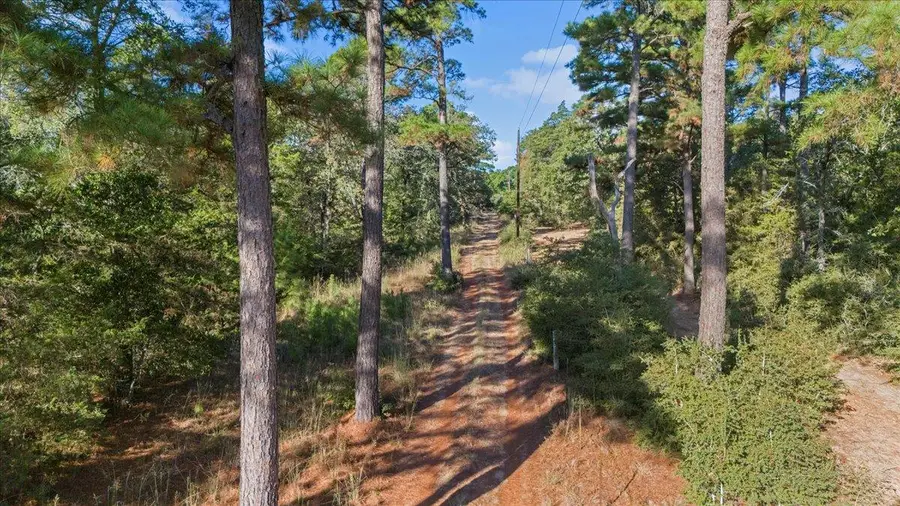 360 Copeland Hill Rd, Smithville, TX 78957 - Image #3