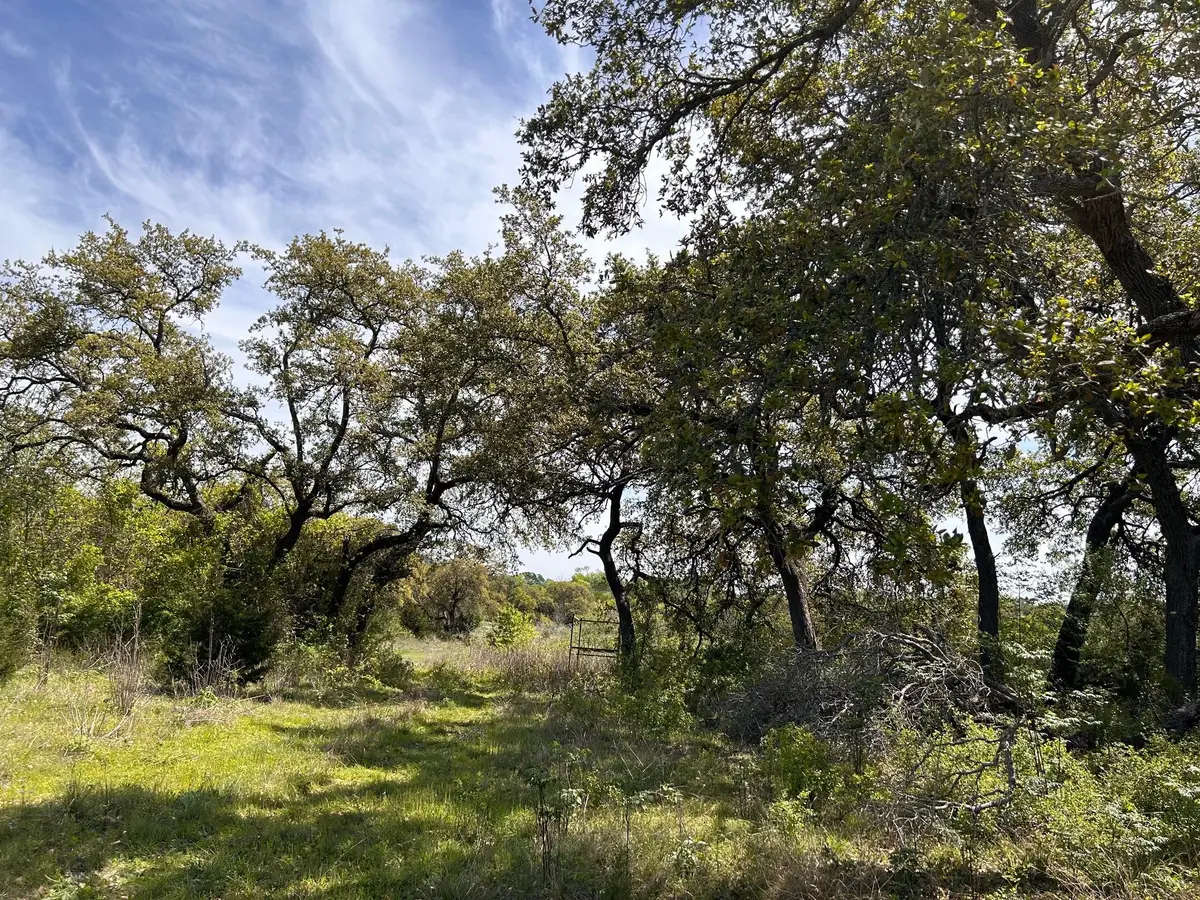 207 Liberty Oaks Blvd, Belton, TX 76513 - Image #1