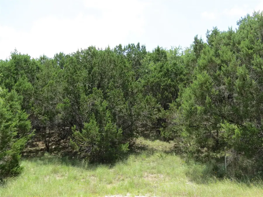 21902 Surrey Ln, Lago Vista, TX 78645 - #2