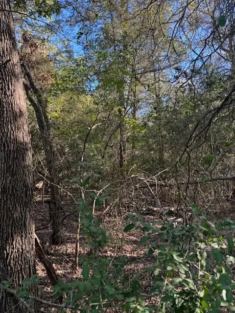 125 Helemano Dr, Bastrop, TX 78602 - #1