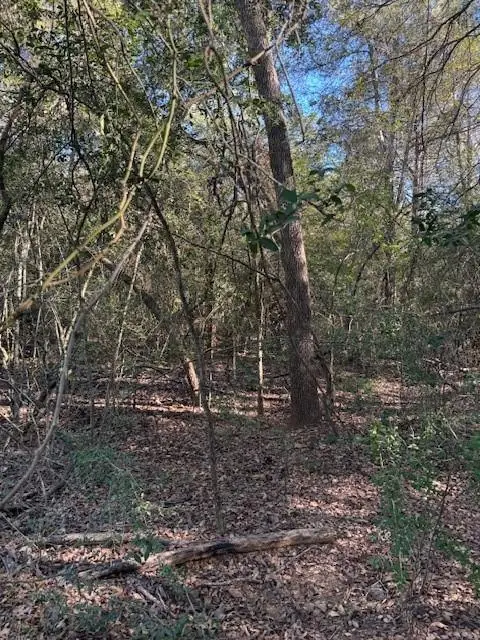 125 Helemano Dr, Bastrop, TX 78602 - #3