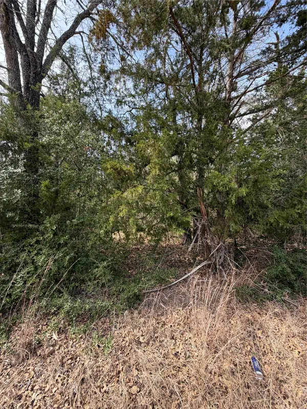 Lot 20 Flint Ridge St, Bastrop, TX 78602