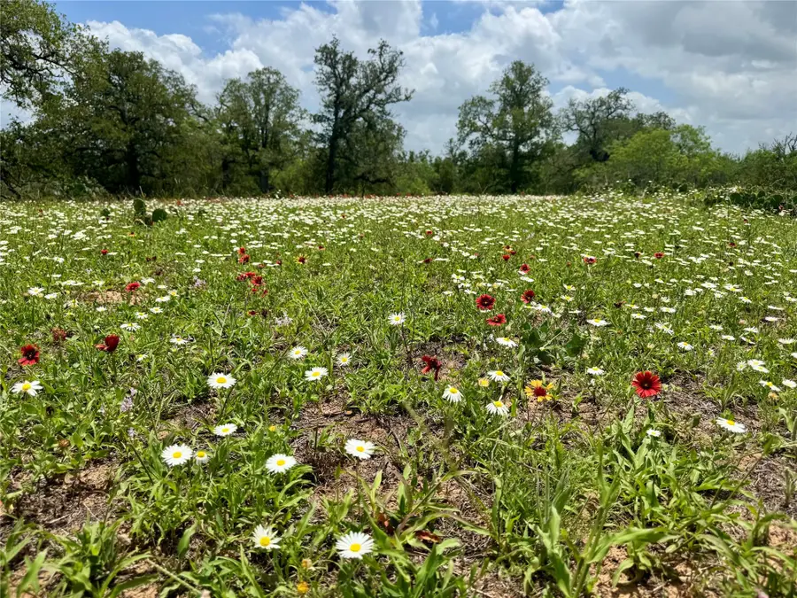 TBD Batey Rd, Nixon, TX 78140 - #2