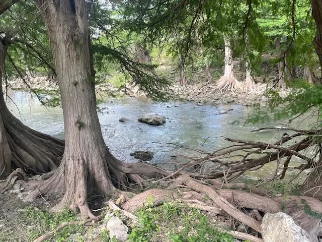 Lot 248 & 247 River Forest Dr, Bergheim, TX 78004 - Image #3