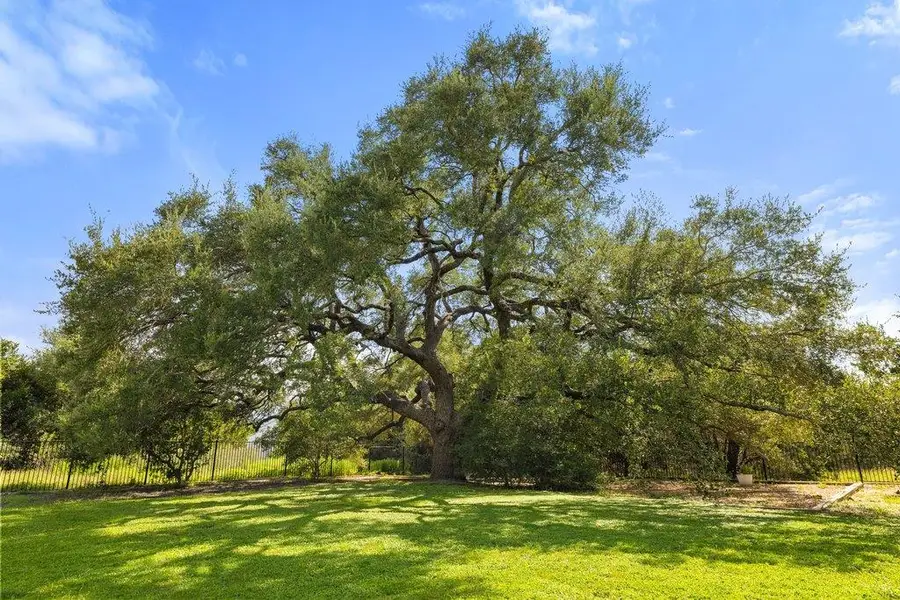 10183 Brangus Rd, Driftwood, TX 78619 - #2