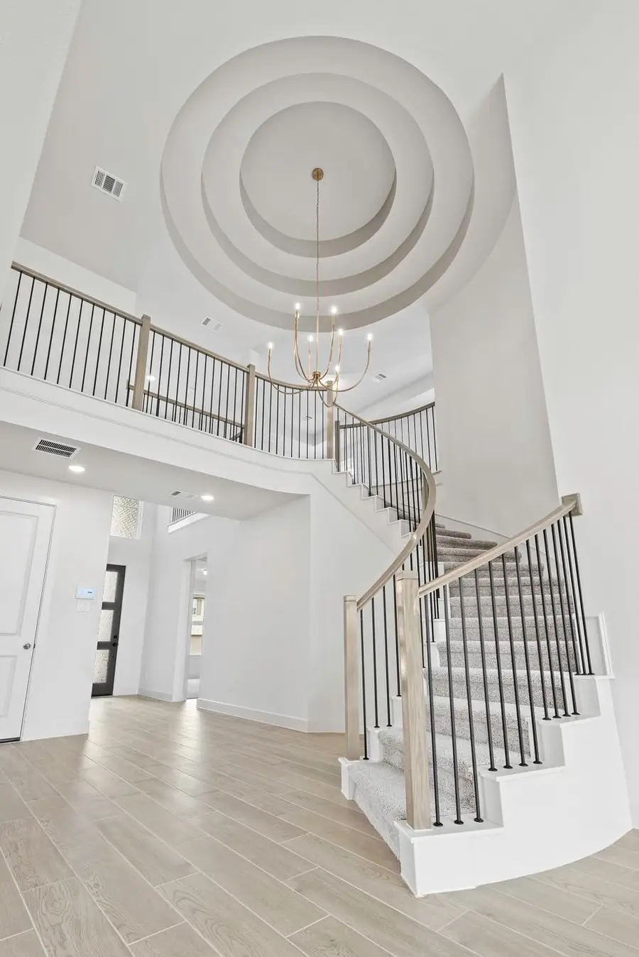113 Blue Vervain Trl, Georgetown, TX 78633 - #2