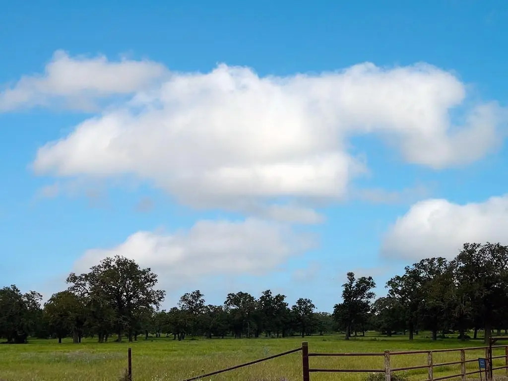 2231 Greens Creek Rd, Ledbetter, TX 78946 - #1