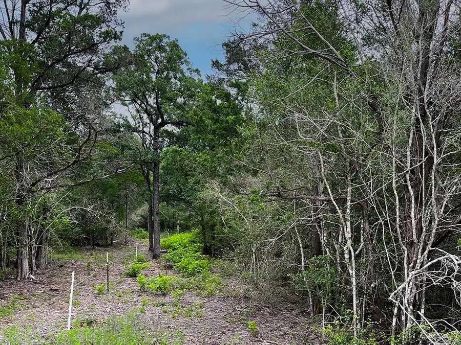 2231 Greens Creek Rd, Ledbetter, TX 78946 - #3