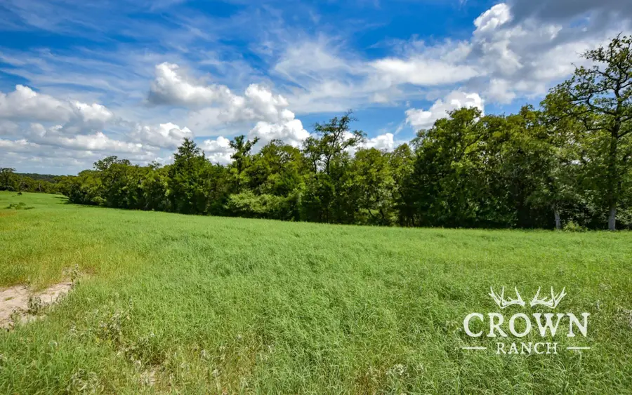 TBD Fm 908 (+/-1,057 Acres), Caldwell, TX 77836 - Image #2