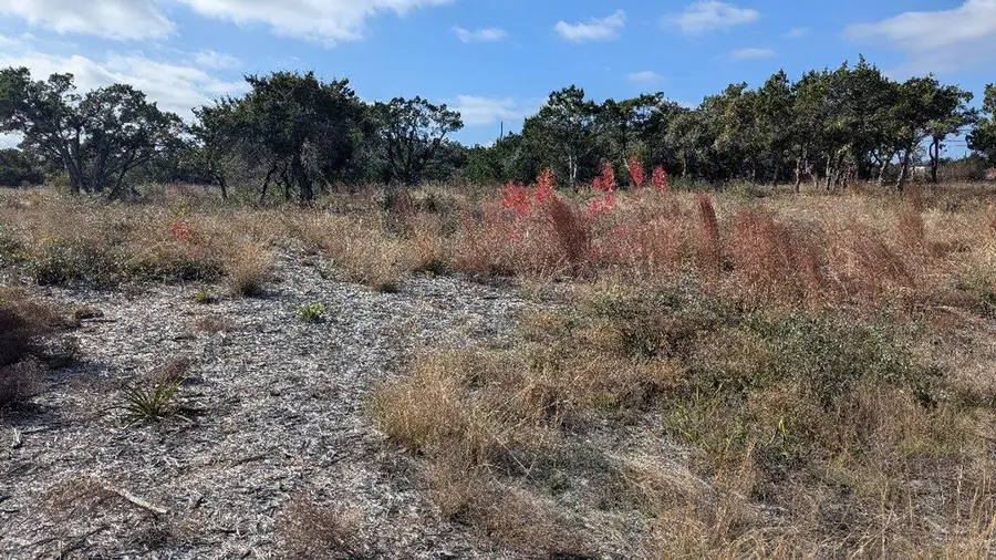 15765 Hamilton Pool Rd, Austin, TX 78738 - Image #2