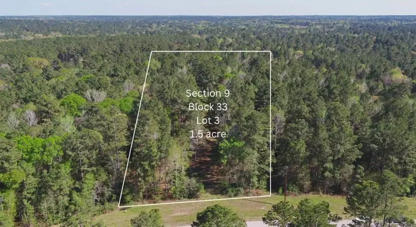 000 Bighorn Rd, Huntsville, TX 77340 - #2