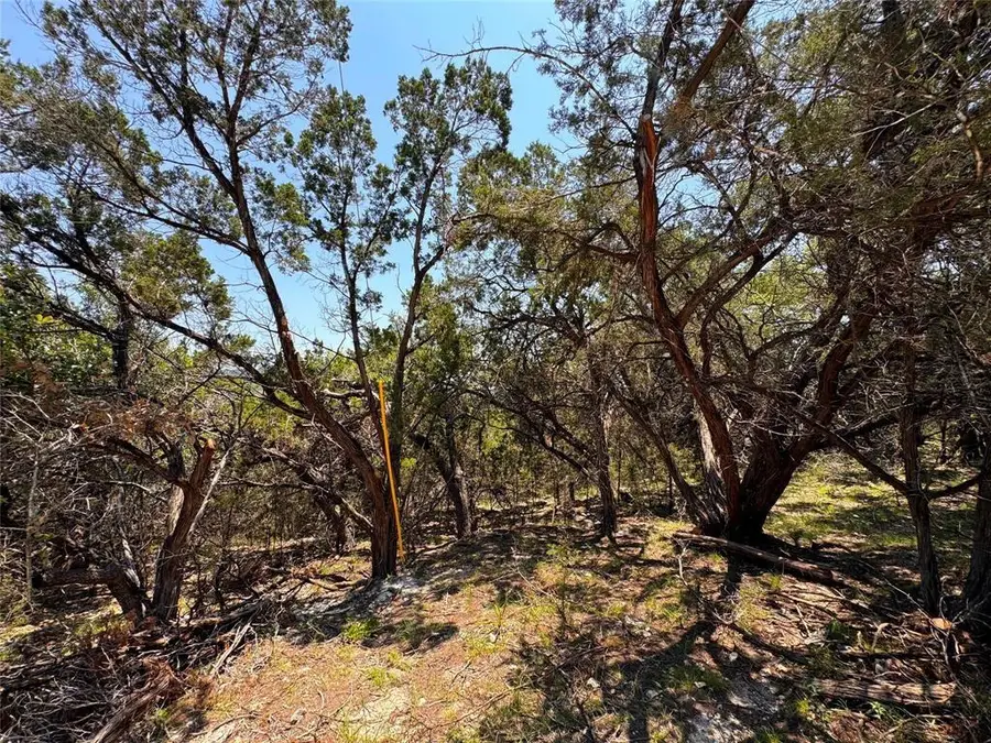 557 Dusty Saddle, Canyon Lake, TX 78133 - #2