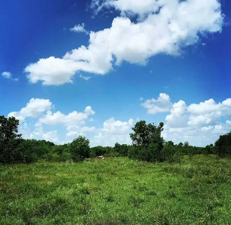 00000 Fm 1462 Rd, Brazoria West Columbia, TX 77430 - Image #1