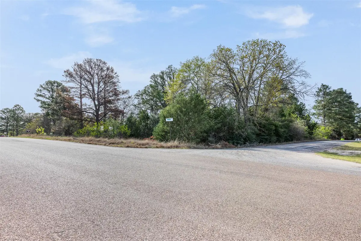 LOT 1 Indian Oak Dr, Bastrop, TX 78602 - #1