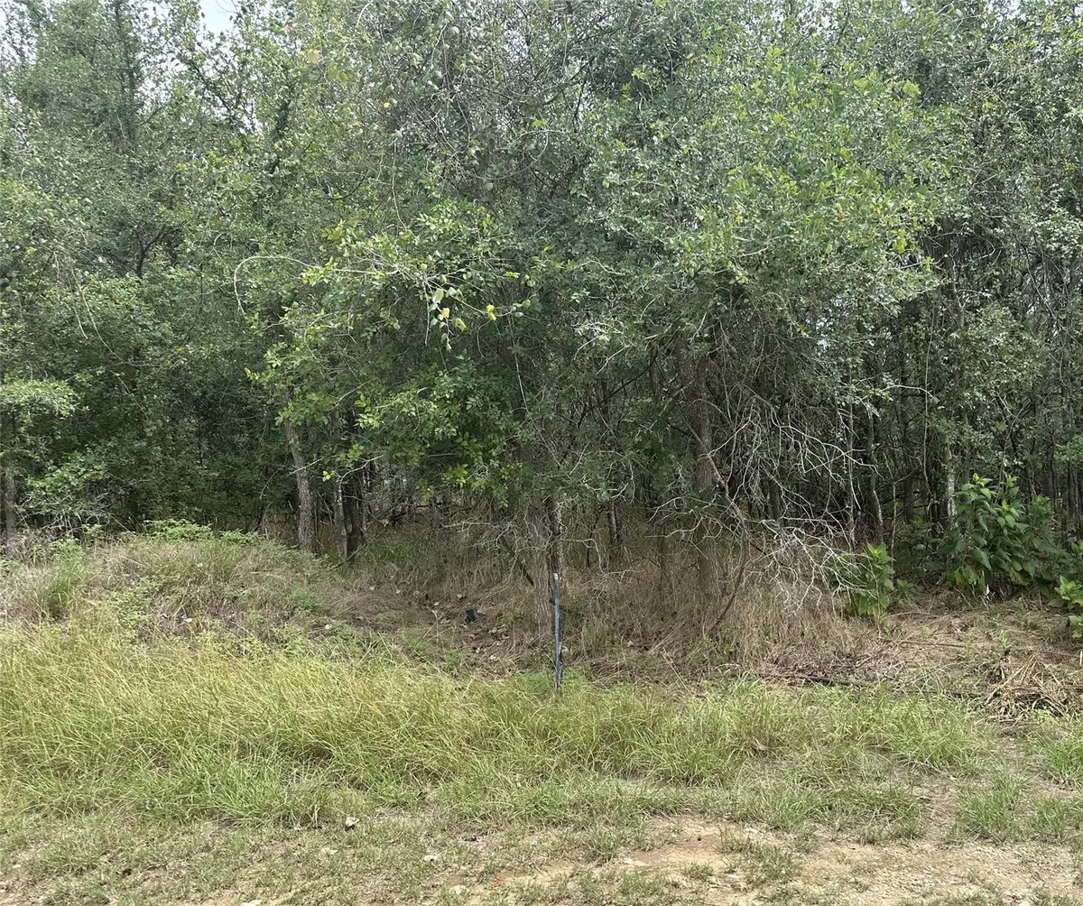 107 Halawa Ct, Bastrop, TX 78602 - Image #1