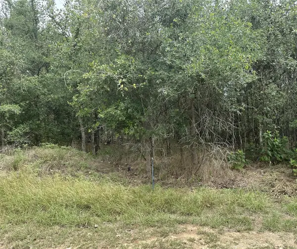 107 Halawa Ct, Bastrop, TX 78602