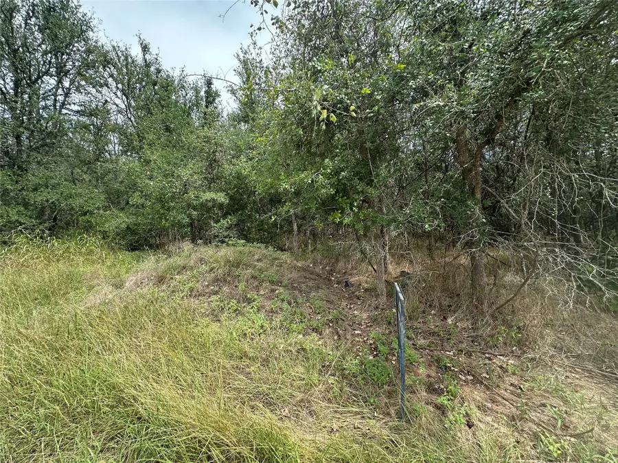 107 Halawa Ct, Bastrop, TX 78602 - Image #3