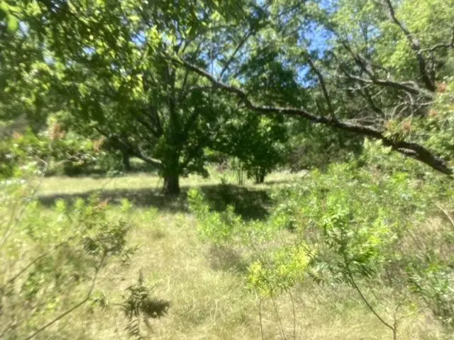 24418 Cottonwood Dr, Leander, TX 78641 - Image #1