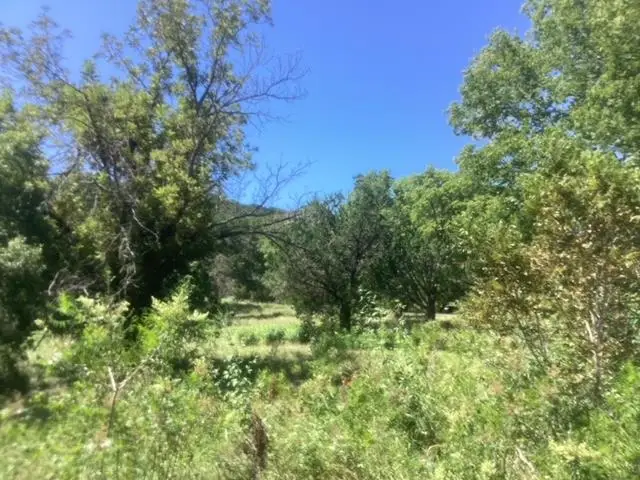 24418 Cottonwood Dr, Leander, TX 78641 - Image #3