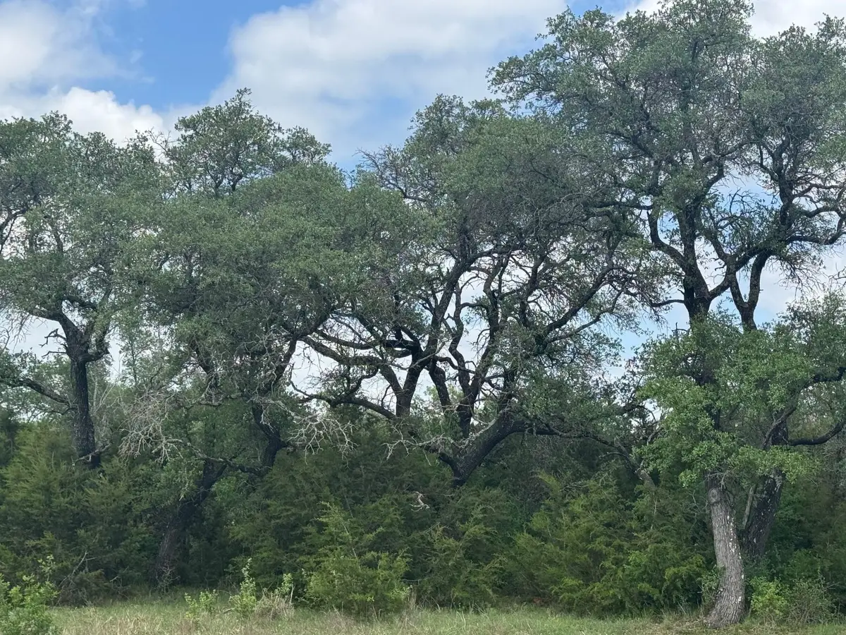 Lot 40 Maverick Way, Briggs, TX 78608 - #1