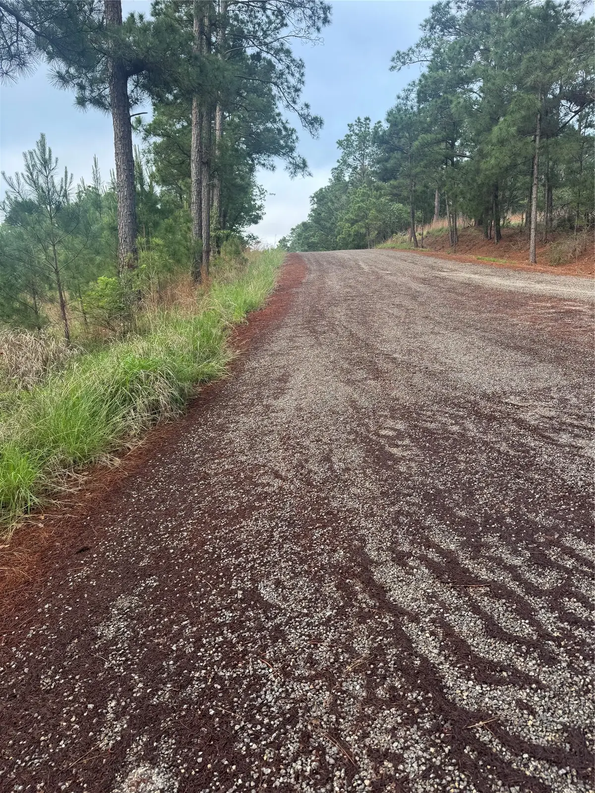 Lots 1490, 1491, 1492 Haleakala, Bastrop, TX 78602 - #1