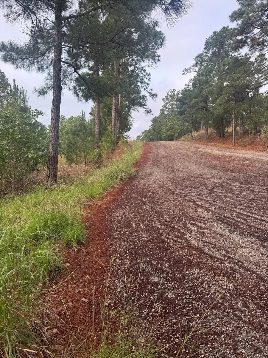 Lots 1490, 1491, 1492 Haleakala, Bastrop, TX 78602 - #2