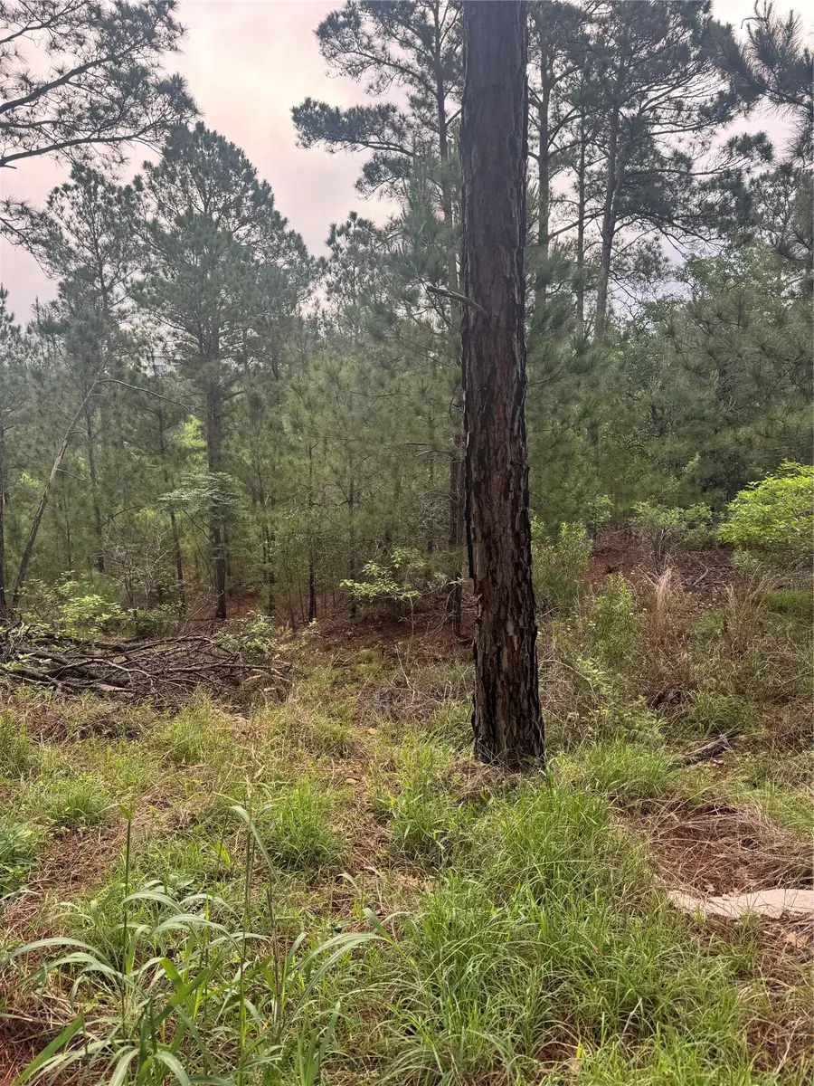 Lots 1490, 1491, 1492 Haleakala, Bastrop, TX 78602 - #3