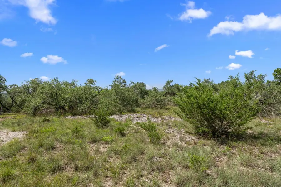 31860 Mirela Ann Rd, Dripping Springs, TX 78620 - #2