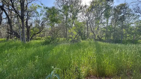 203 Mokulua Ln, Bastrop, TX 78602