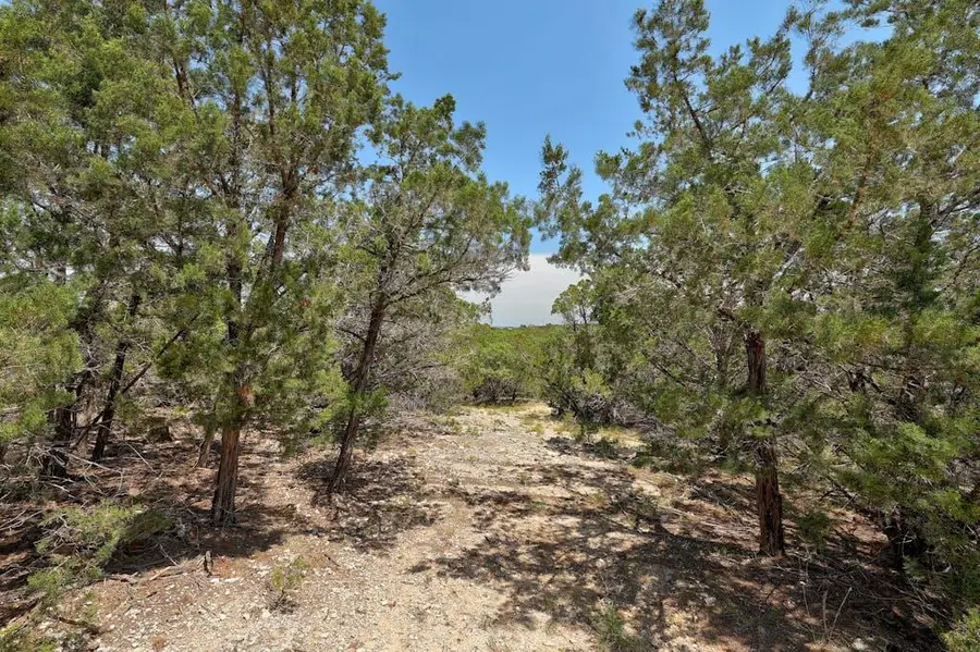 TBD Windy Hills Rd, Dripping Springs, TX 78620 - #3